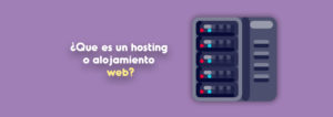 Lee más sobre el artículo ¿Qué es un hosting o alojamiento web?